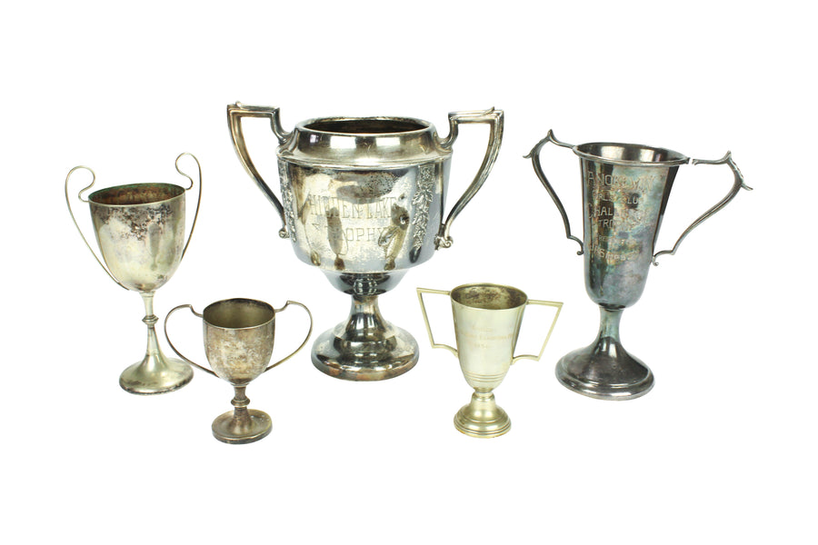 Silver Cup Trophies