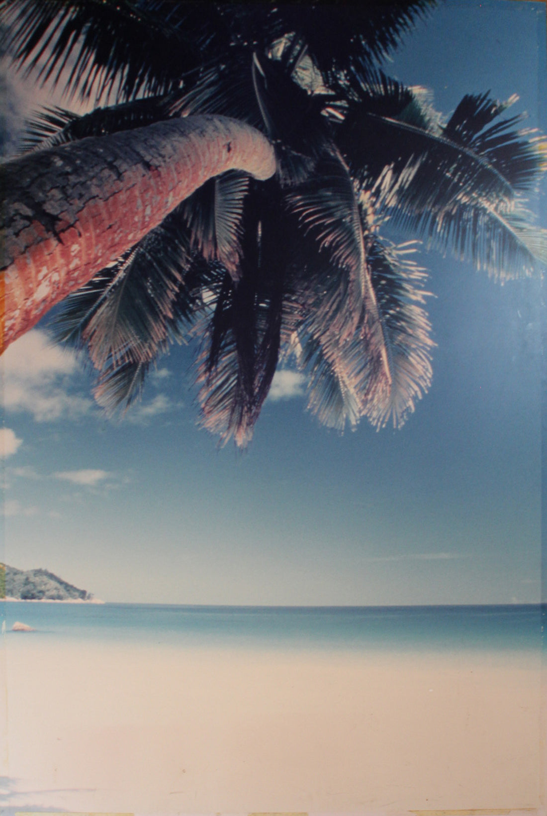 Tropical Poster (XL)