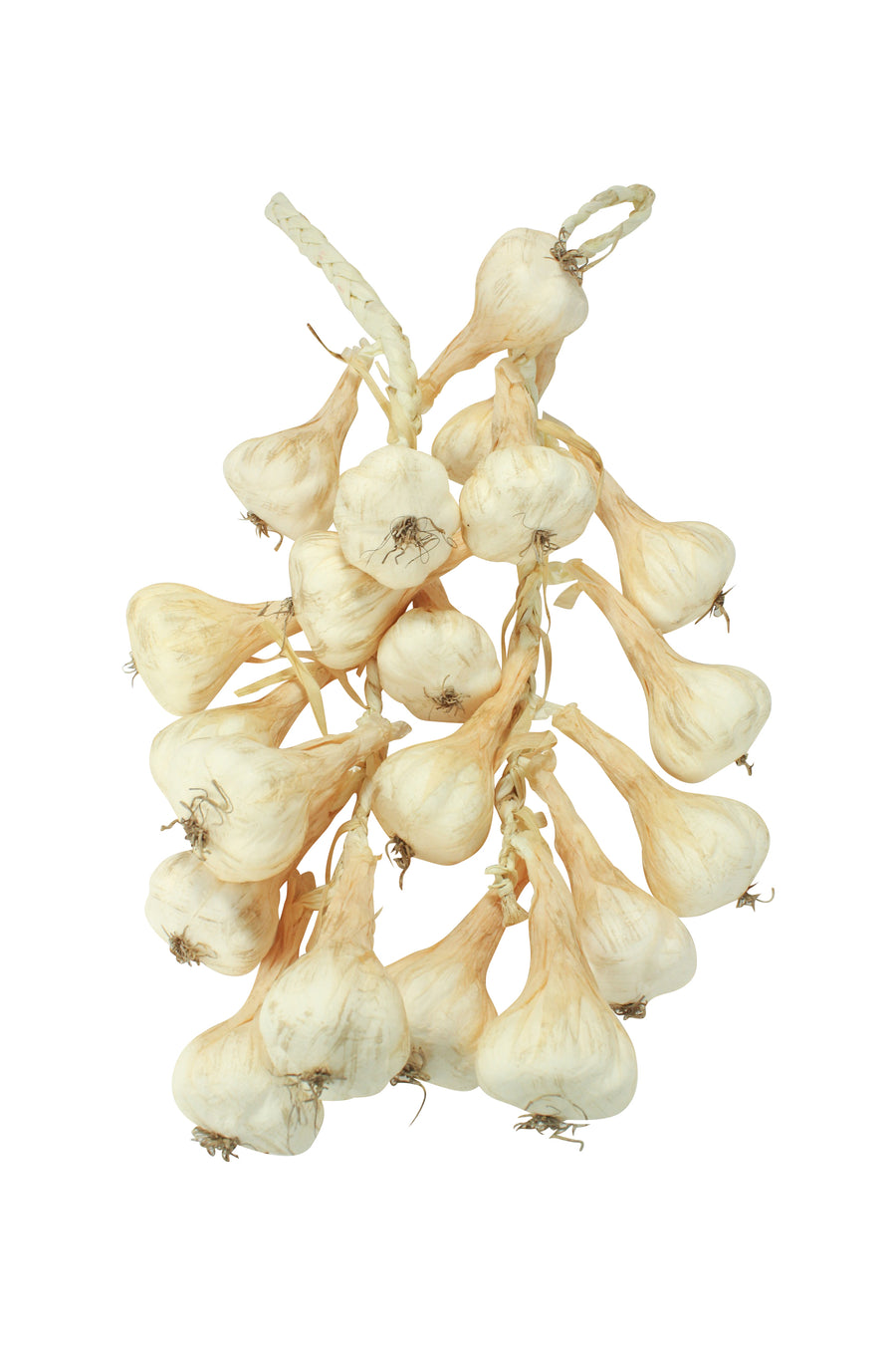Garlic Bunches