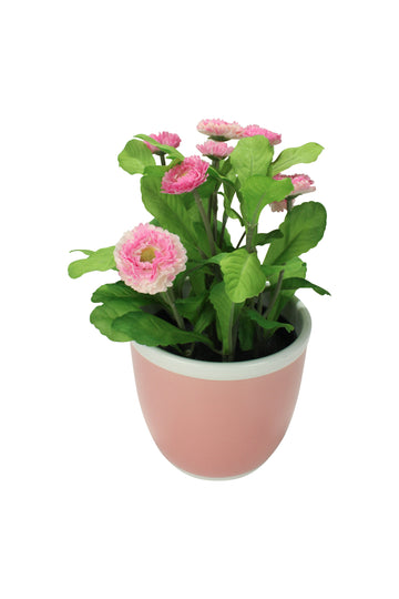 Pink Flowers Planter