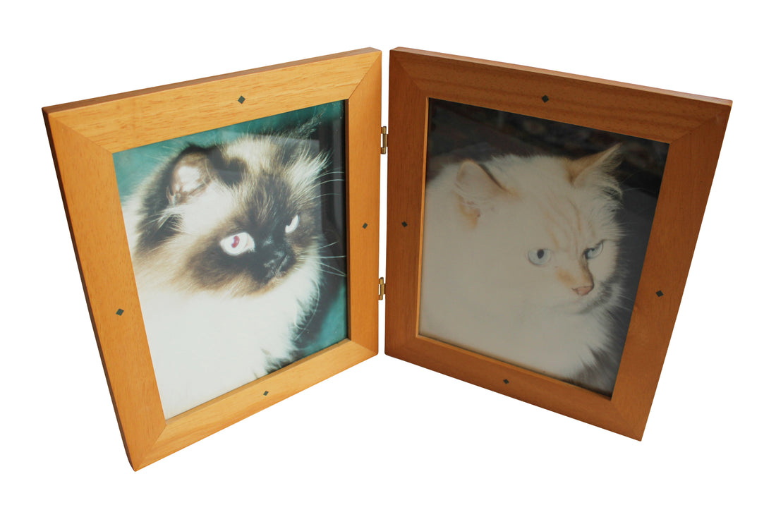 Cat Frame