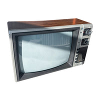 Wood Paneled TV (Large)