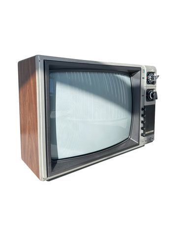 Wood Paneled TV (Large)