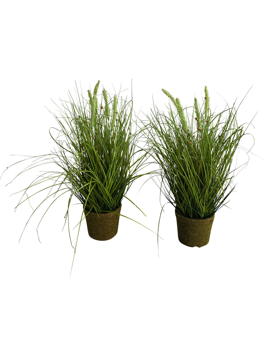 Grass Planters