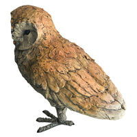 Mystical Owl