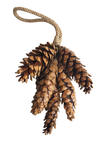 Pinecones on a Rope