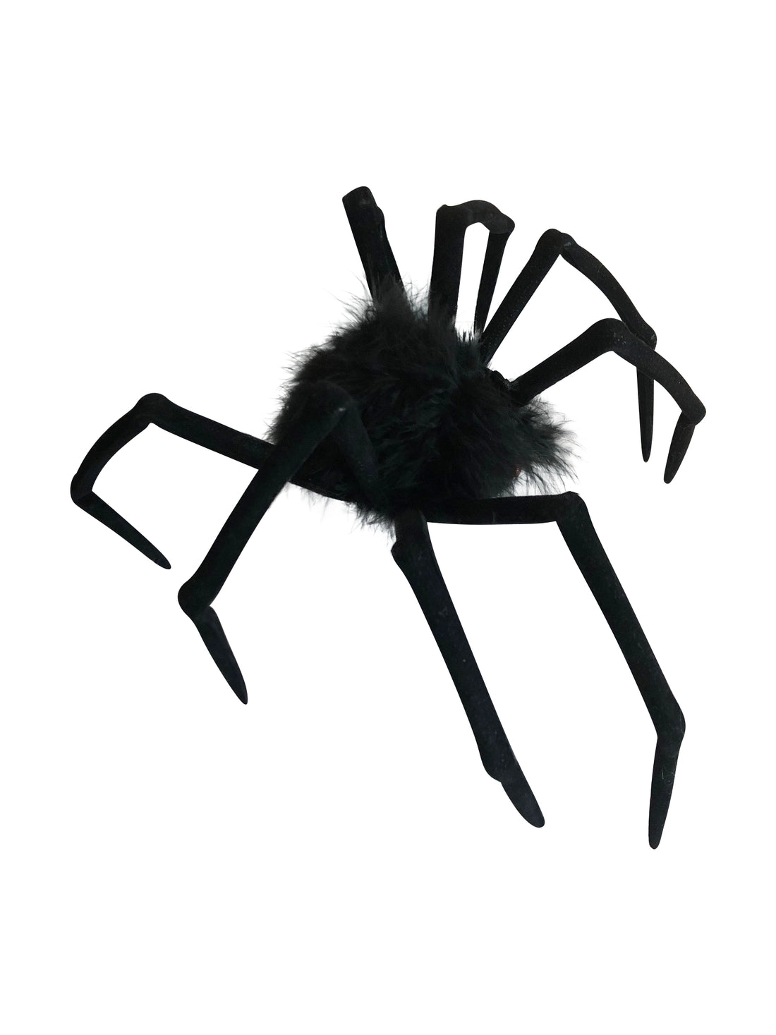 Big Fuzzy Spider